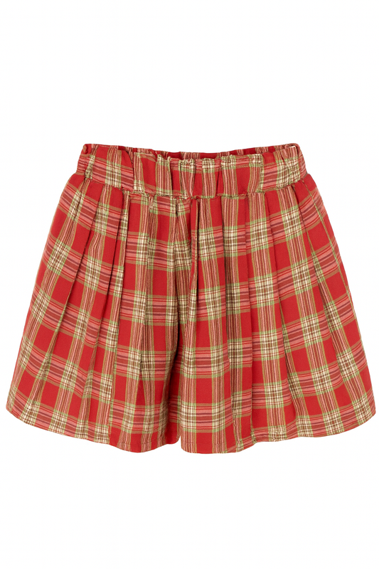 Red and Green Plaid Pleated Skirt