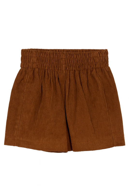 Brown Corduroy Pleated Short