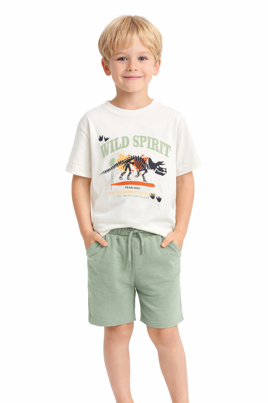 Boys’ “Wild Spirit” Dinosaur Graphic T-Shirt & Sage Shorts Set